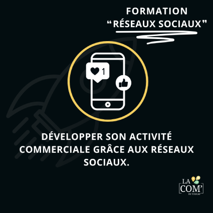 Formation réseaux sociaux Facebook Instagram